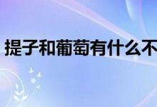提子和葡萄有什么不同（提子和葡萄的區(qū)別）