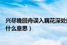 興盡晚回舟誤入藕花深處的意思（興盡晚回舟誤入藕花深處什么意思）