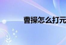 曹操怎么打元歌(曹操怎么死)