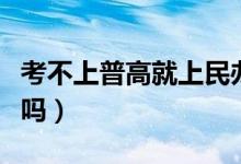 考不上普高就上民辦高中（上民辦高中有意義嗎）