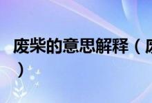 廢柴的意思解釋（廢柴是什么意思代表了什么）