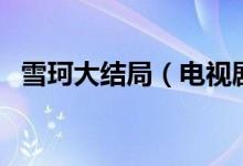 雪珂大結(jié)局（電視劇雪珂的大結(jié)局是什么）