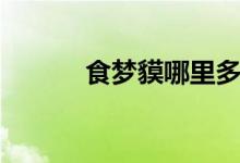 食夢貘哪里多（具體資料介紹）