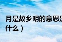 月是故鄉(xiāng)明的意思是啥（月是故鄉(xiāng)明的意思是什么）