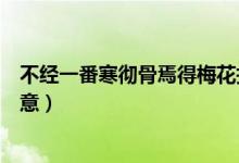 不經(jīng)一番寒徹骨焉得梅花撲鼻香說(shuō)明了什么道理（有什么寓意）