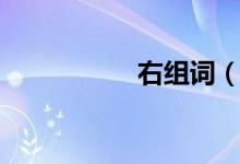 右組詞（右怎么組詞）