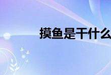 摸魚是干什么（摸魚是什么梗）