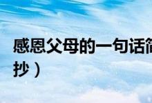 感恩父母的一句話(huà)簡(jiǎn)短（對(duì)父母感恩的句子摘抄）