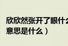 欣欣然張開了眼什么意思（欣欣然張開了眼的意思是什么）