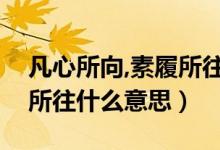 凡心所向,素履所往是誰(shuí)說的（凡心所向素履所往什么意思）