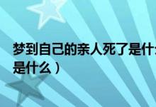 夢(mèng)到自己的親人死了是什么意思（夢(mèng)到自己的親人死了意思是什么）