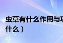 蟲草有什么作用與功效（蟲草的功效與作用是什么）