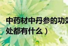 中藥材中丹參的功效與作用有哪些（丹參的好處都有什么）