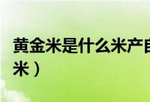 黃金米是什么米產(chǎn)自什么地方（黃金米是什么米）