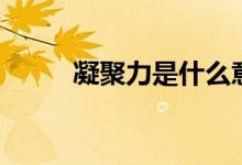 凝聚力是什么意思（凝聚力釋義）