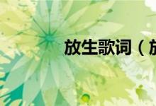 放生歌詞（放生歌詞是什么）