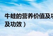 牛蛙的營養(yǎng)價值及功效（牛蛙有什么營養(yǎng)價值及功效）