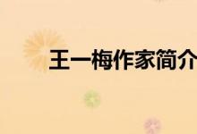 王一梅作家簡介（王一梅作家介紹）