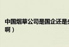中國煙草公司是國企還是央企（中國煙草是央企嗎 還是國企?。?class=