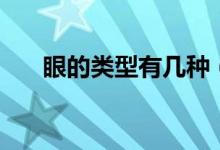 眼的類型有幾種（眼的類型有多少種）