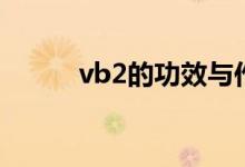 vb2的功效與作用（vb2是什么）