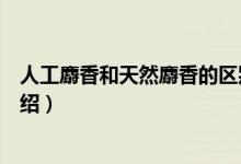 人工麝香和天然麝香的區(qū)別（人工麝香和天然麝香的區(qū)別介紹）