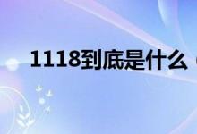 1118到底是什么（1118是個什么東西）