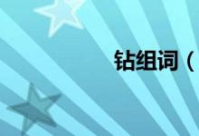 鉆組詞（鉆組詞解釋）