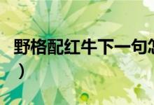 野格配紅牛下一句怎么接（野格配紅牛下一句）