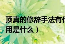 頂真的修辭手法有什么用（頂真的修辭手法作用是什么）