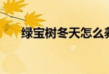 綠寶樹冬天怎么養(yǎng)（如何養(yǎng)殖綠寶樹）