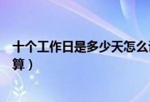 十個工作日是多少天怎么計算（十個工作日是多少天怎么計算）