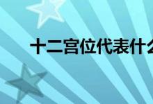 十二宮位代表什么（十二宮位的意思）