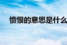 憤恨的意思是什么（詞語憤恨什么意思）