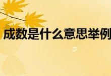 成數(shù)是什么意思舉例說明（成數(shù)是什么意思）