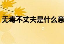無毒不丈夫是什么意思（無毒不丈夫的含義）