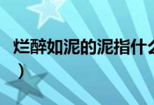 爛醉如泥的泥指什么（爛醉如泥的泥解釋如下）