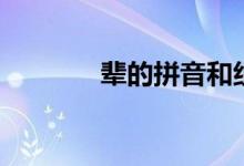 輩的拼音和組詞（輩怎么讀）