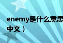 enemy是什么意思翻譯（enemy是什么意思中文）