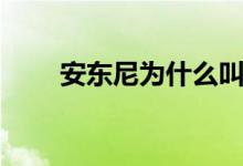 安東尼為什么叫甜瓜（安東尼介紹）