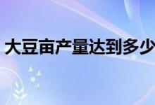 大豆畝產(chǎn)量達(dá)到多少斤（大豆畝產(chǎn)量多少斤）