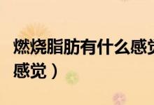 燃燒脂肪有什么感覺（身體得脂肪燃燒是什么感覺）