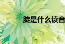 腚是什么讀音（腚是什么地方）