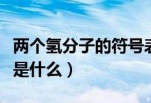 兩個(gè)氫分子的符號(hào)表達(dá)式（兩個(gè)氫分子的符號(hào)是什么）