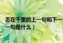 志在千里的上一句和下一句怎么讀（志在千里的上一句和下一句是什么）