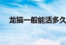 龍貓一般能活多久（龍貓一般能活多久）