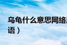 烏龜什么意思網(wǎng)絡(luò)用語（wg什么意思網(wǎng)絡(luò)用語）