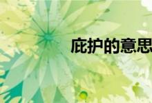 庇護(hù)的意思（庇護(hù)的意思）
