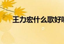 王力宏什么歌好聽(tīng)（王力宏歌手簡(jiǎn)介）