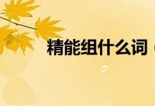 精能組什么詞（漢字精怎么組詞）